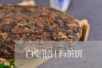 白毫银针有茶饼/2023112337259