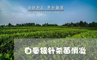 白毫银针杀菌消炎/2023090788182