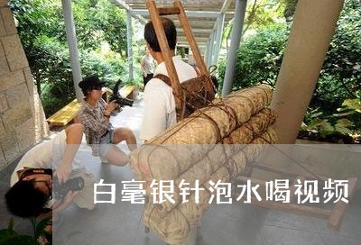 白毫银针泡水喝视频/2023072275057