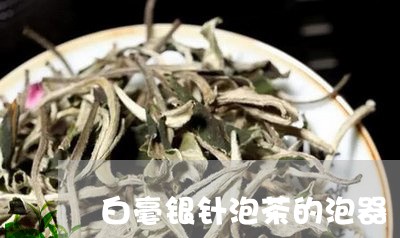 白毫银针泡茶的泡器/2023120645928