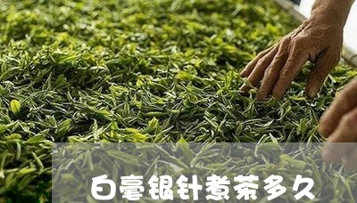 白毫银针煮茶多久/2023090789592