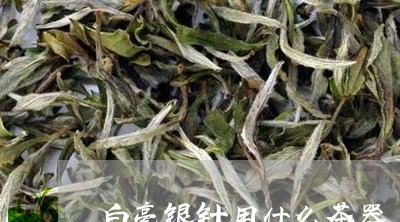 白毫银针用什么茶器/2023120469292