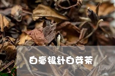 白毫银针白芽茶/2023112300514