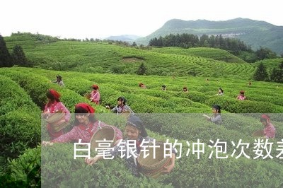 白毫银针的冲泡次数差异/2023092355148