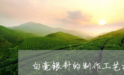 白毫银针的制作工艺视频/2023102847279