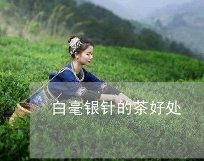 白毫银针的茶好处/2023090768270