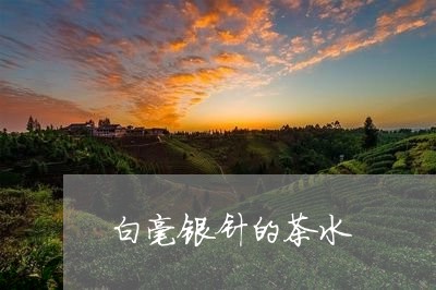 白毫银针的茶水/2023112476958