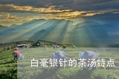 白毫银针的茶汤特点/2023120634048