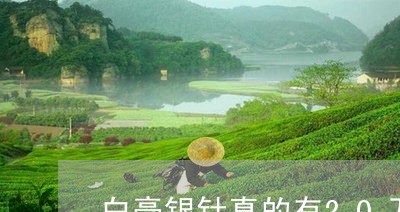 白毫银针真的有20万元一斤吗/2023062838513