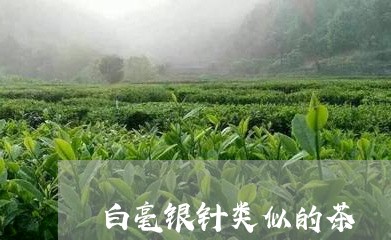 白毫银针类似的茶/2023090722715