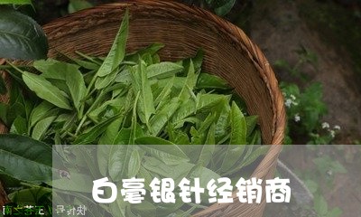 白毫银针经销商/2023060323278