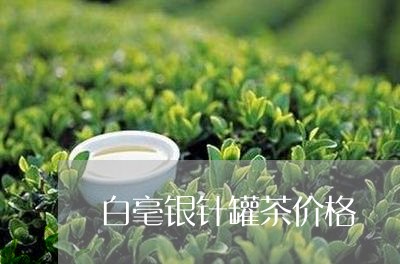 白毫银针罐茶价格/2023090684937