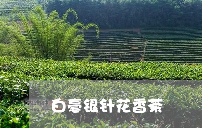 白毫银针花香茶/2023060332493