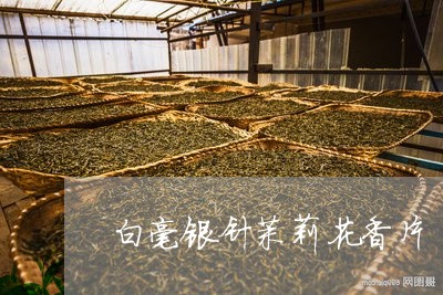 白毫银针茉莉花香片/2023072196036