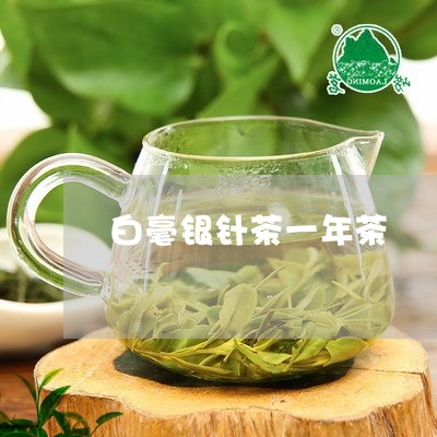 白毫银针茶一年茶/2023090640473