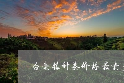 白毫银针茶价格最贵多少钱一斤/2023053193159