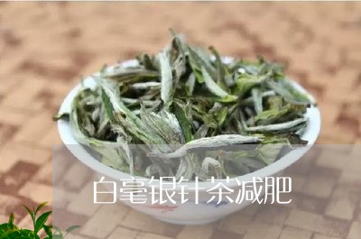 白毫银针茶减肥/2023060333616