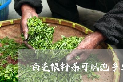 白毫银针茶可以泡多少道/2023092361835