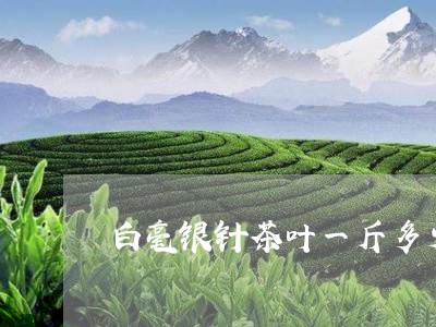 白毫银针茶叶一斤多少钱/2023092375037