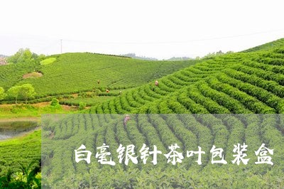 白毫银针茶叶包装盒/2023091406371