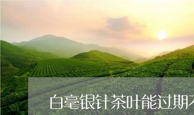 白毫银针茶叶能过期不变质吗/2023062819513