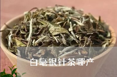 白毫银针茶哪产/2023112455149