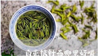 白毫银针茶哪里好喝/2023091484027