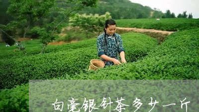 白毫银针茶多少一斤/2023091462939