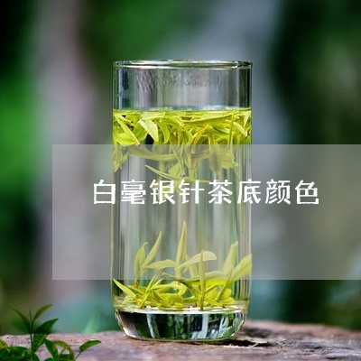 白毫银针茶底颜色/2023090651493