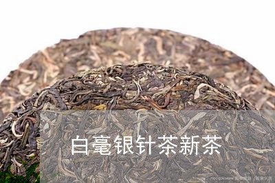 白毫银针茶新茶/2023112413925