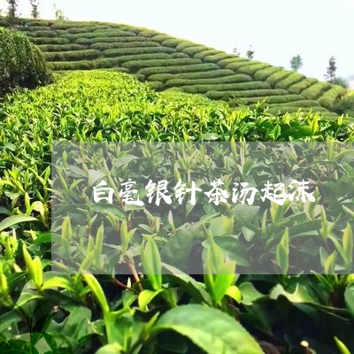 白毫银针茶汤起沫/2023090739261