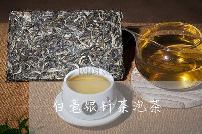 白毫银针茶泡茶/2023112498693