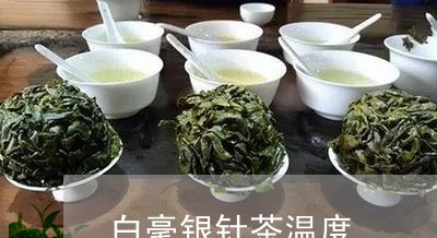 白毫银针茶温度/2023112486260