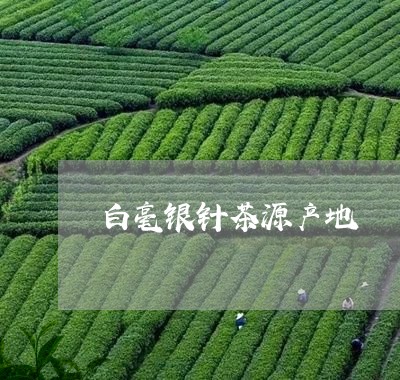 白毫银针茶源产地/2023090775149