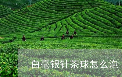 白毫银针茶球怎么泡/2023120626361