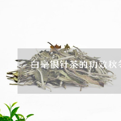 白毫银针茶的功效秋冬可以喝吗/2023053187269