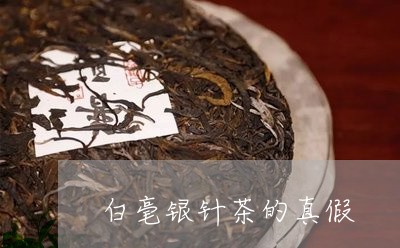 白毫银针茶的真假/2023090798694