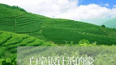 白毫银针茶的豪/2023112359479