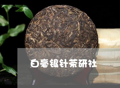 白毫银针茶研社/2023112338273