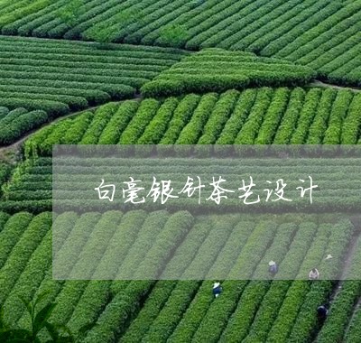 白毫银针茶艺设计/2023090730492