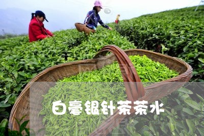 白毫银针茶茶水/2023112425936