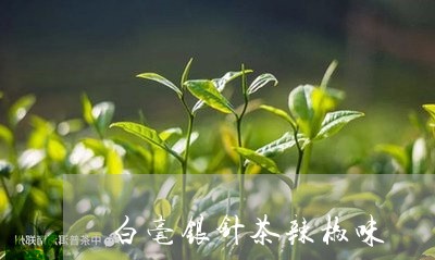 白毫银针茶辣椒味/2023090781472