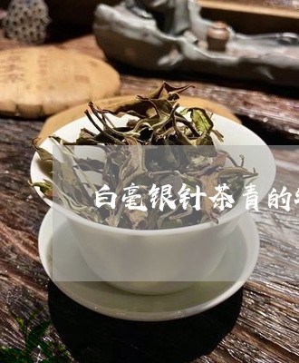 白毫银针茶青的特点/2023120452703