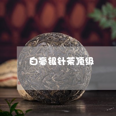 白毫银针茶顶级/2023112353825