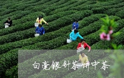 白毫银针茶饼中茶/2023090659695