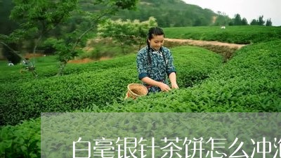 白毫银针茶饼怎么冲泡/2023071671916