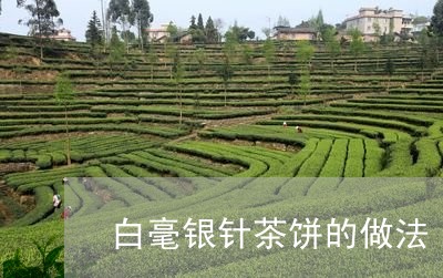 白毫银针茶饼的做法/2023120662604