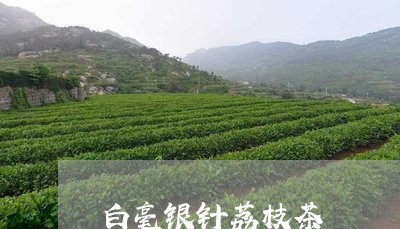 白毫银针荔枝茶/2023060338149