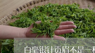 白毫银针贡眉不是一种茶吗/2023062790704