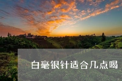 白毫银针适合几点喝/2023120463713